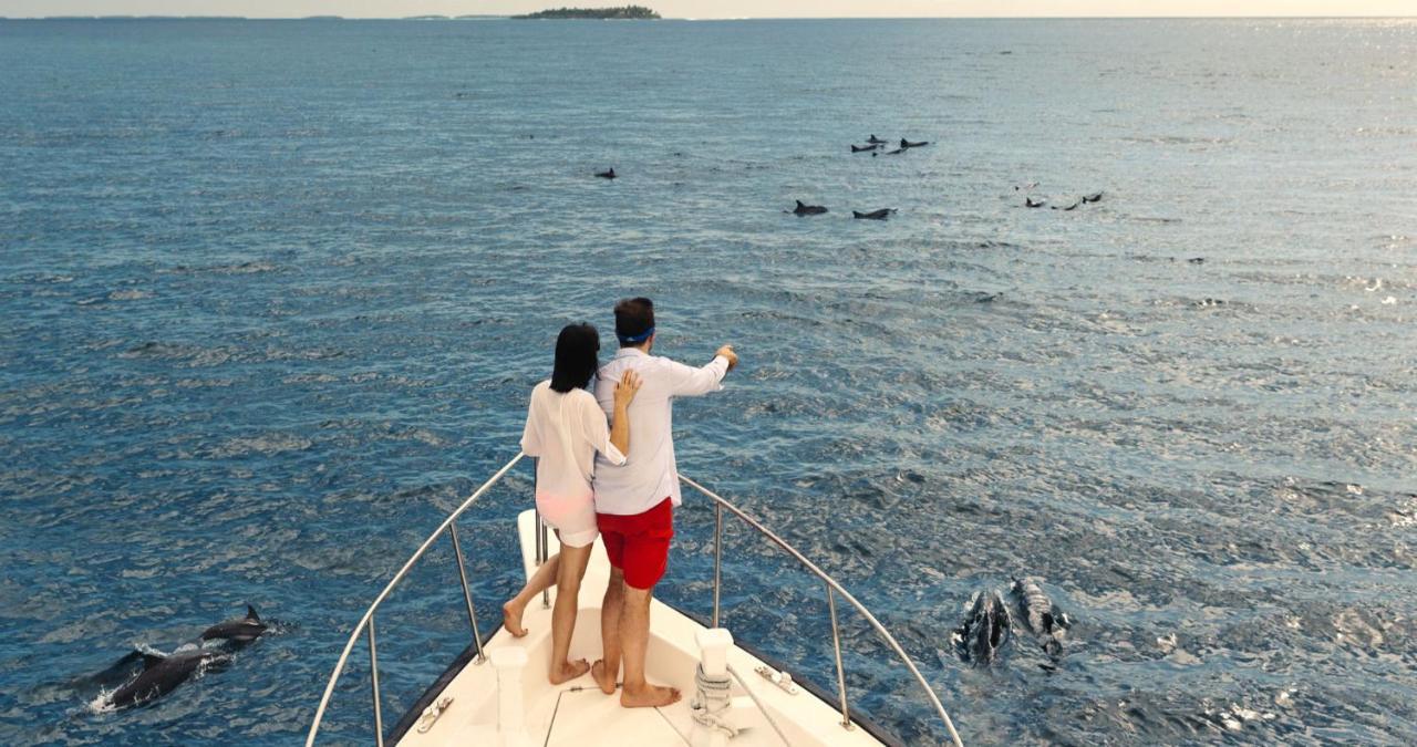 Kandima Maldives Kudahuvadhoo Exterior photo Dolphins in the Red Sea